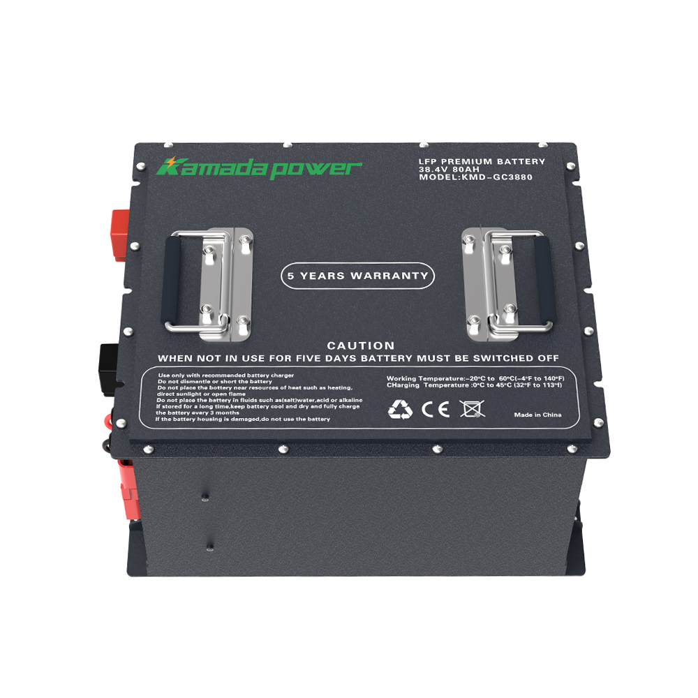 High-Performance Lithium Iron Phosphate Battery for Server Racks