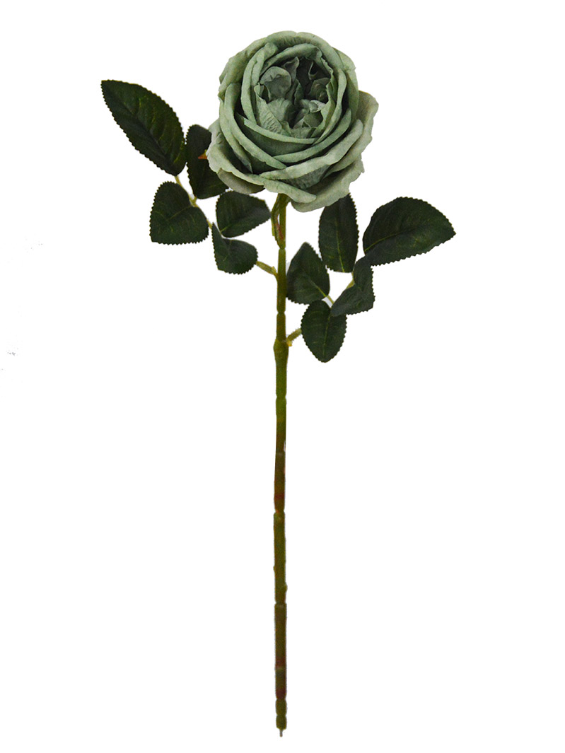 China Factory Wholesale Artifical Austin Short Stem Rose Flower for Wedding Decoration