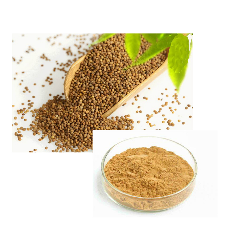 Cuscutae Extract   Cuscutae Extract10:1 Test by TLC