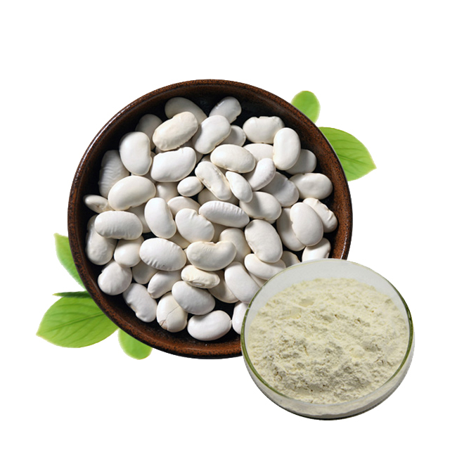 White Kidney Bean Extract  White Kidney Bean Extract contain protein is a natural amylase inhibitor, which is better than wheat and other crops extracted.