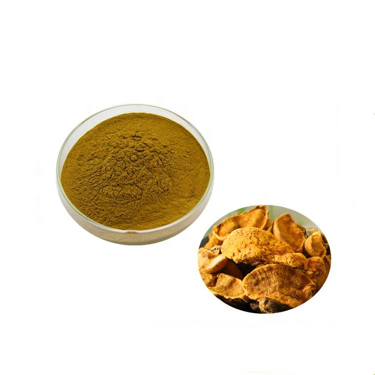 Phellinus igniarius Extract    Phellinus igniarius Extract can improve the human immune system.