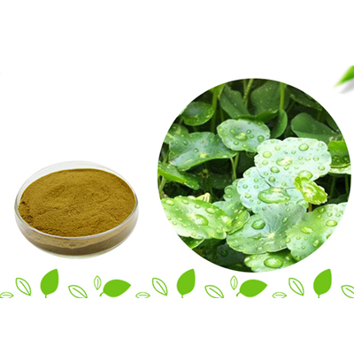 Gotu Kola Extract  Gotu Kola Extract can Whitening skin