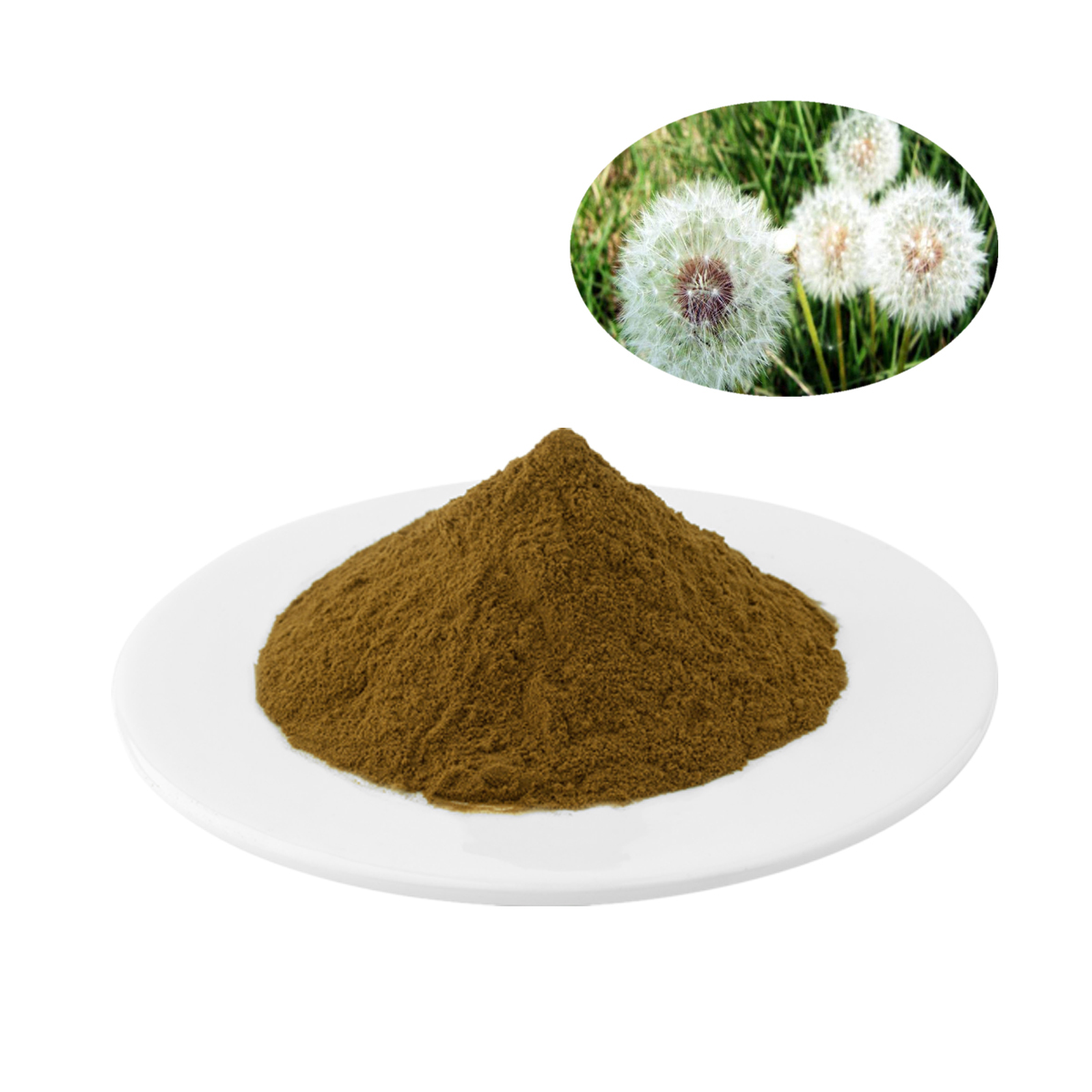 Dandelion  Extract                5%,10% Flavones Test by UV Dandelion Extract is used in inflammation and congestion of liver