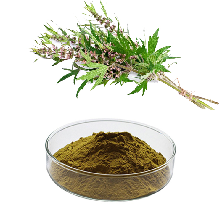 Motherwort Extract   Leonurine 0.2%,Stachydrine Hydrochloride 5% Test by HPLC