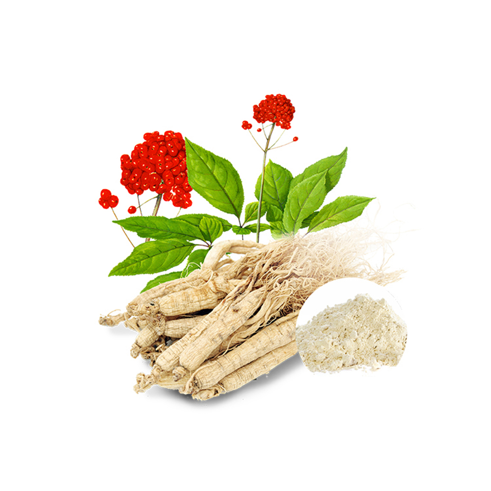 Ginseng Extract