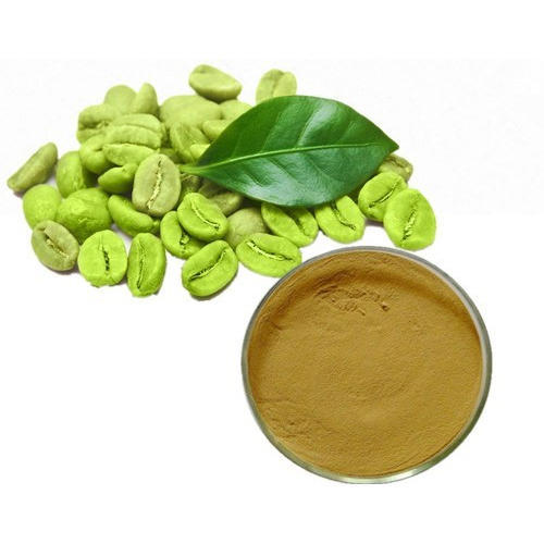 Green Coffee Bean Extract   Chlorogenic acid 50% Test by HPLC