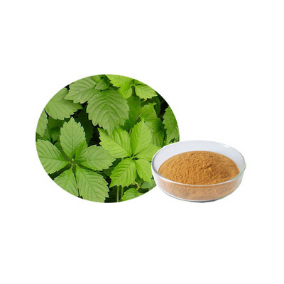Gynostemma Extract  Lower blood pressure, blood fat, lowering blood sugar.