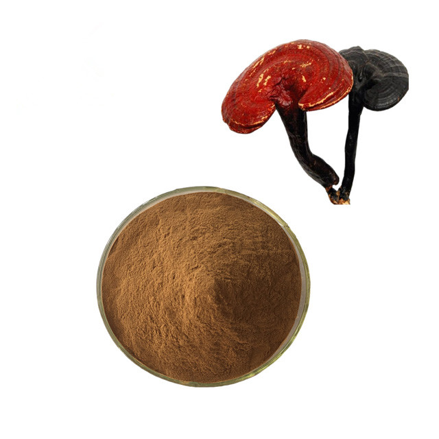 Reishi Extract, Lower price,we can offer free sample