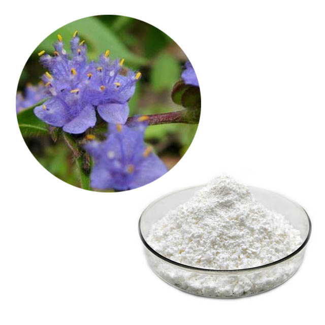 Cyanotis Arachnoidea Extract