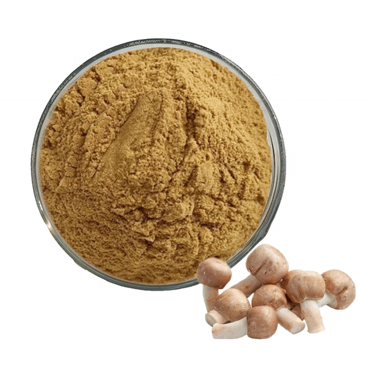  Agaricus Blazei Extract    Agaricus Blazei Extract improve the immune system.