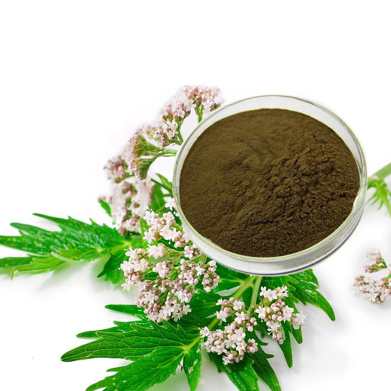 Valeriana Extract    0.8% Valerenic acids and 10:1