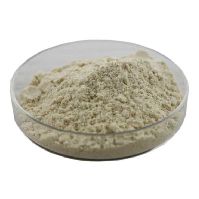 Yeast Extract β-D glucan   β -D glucan 80% can Lipid-lowering reducing weight