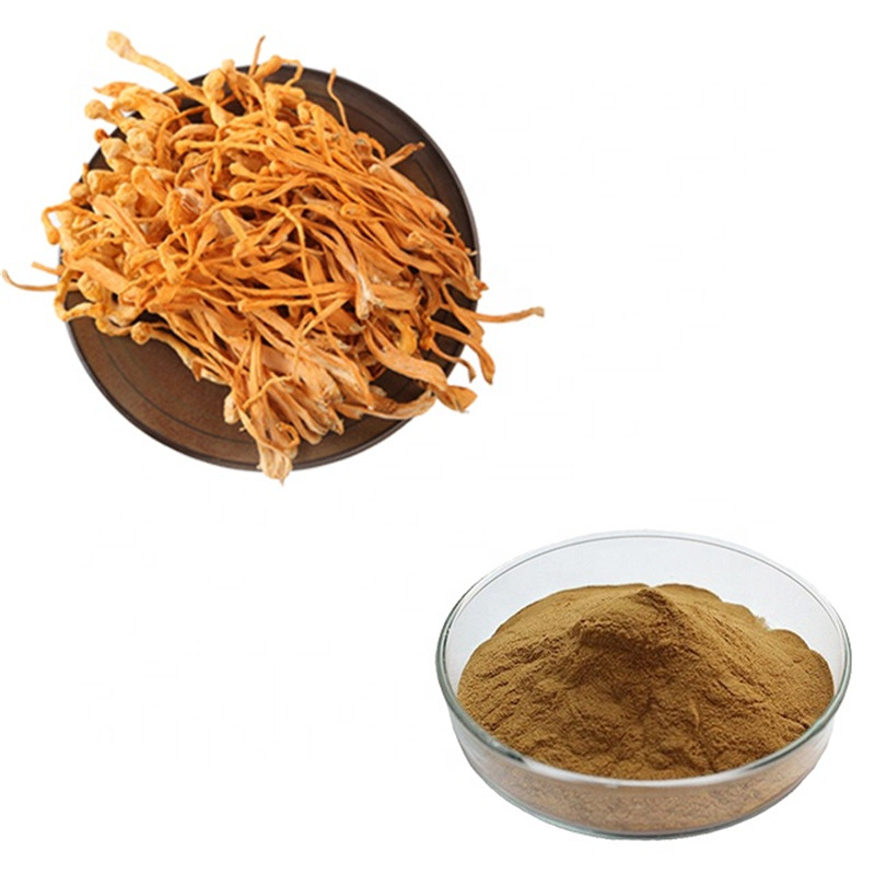 Cordyceps Extract   Cordyceps Extract strengthens and supports the Immune System.