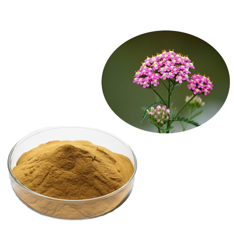 Yarrow Extract   Yarrow Extract 10:1 Test by HPLC