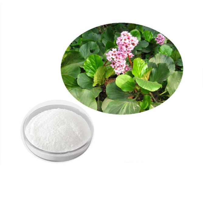 Bergenin   Extract from Saxifraga stolonifera,Bergenin  98% Test by HPLC