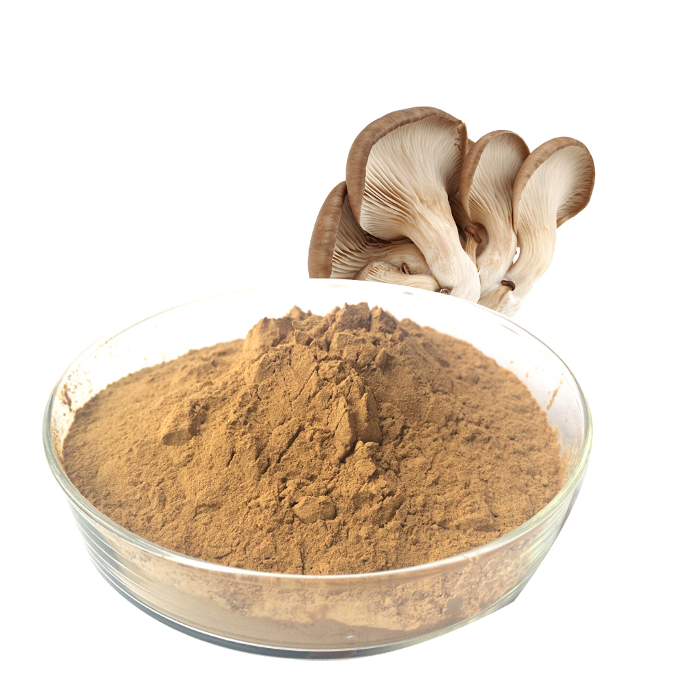 Oyster Mushroom Extract     Immune adjustment: strengthen immune system, enhance physical defense.