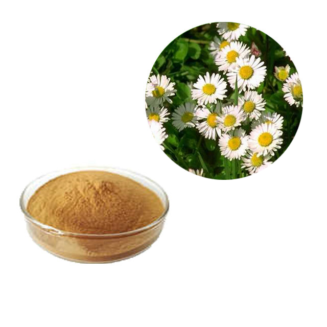 Feverfew Extract   Parthenolide 0.8% Test by HPLC
