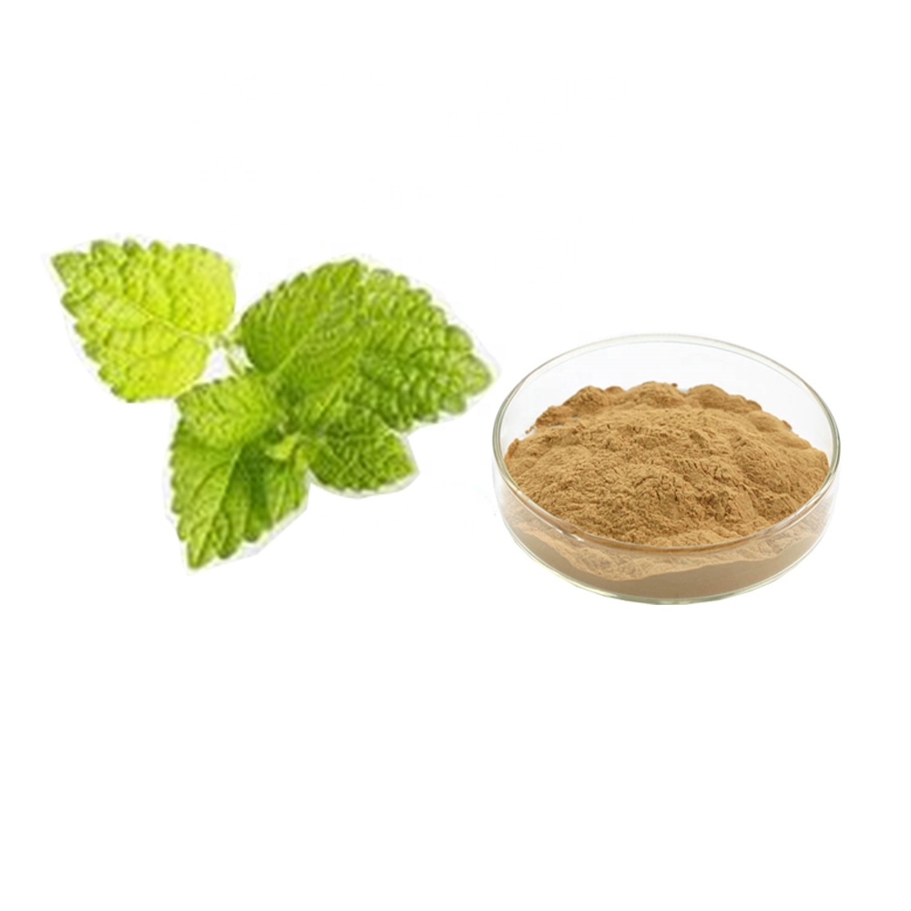 Lemon Balm Extract  used for Natural Supplement.Bulk inventory sales