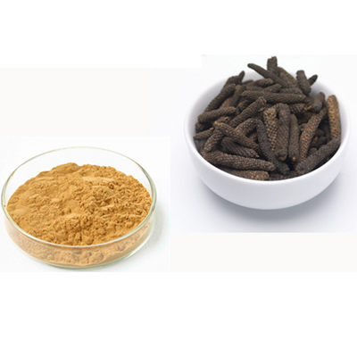 Piper longum Extract   Piper longum Extract 10:1 Test by TLC