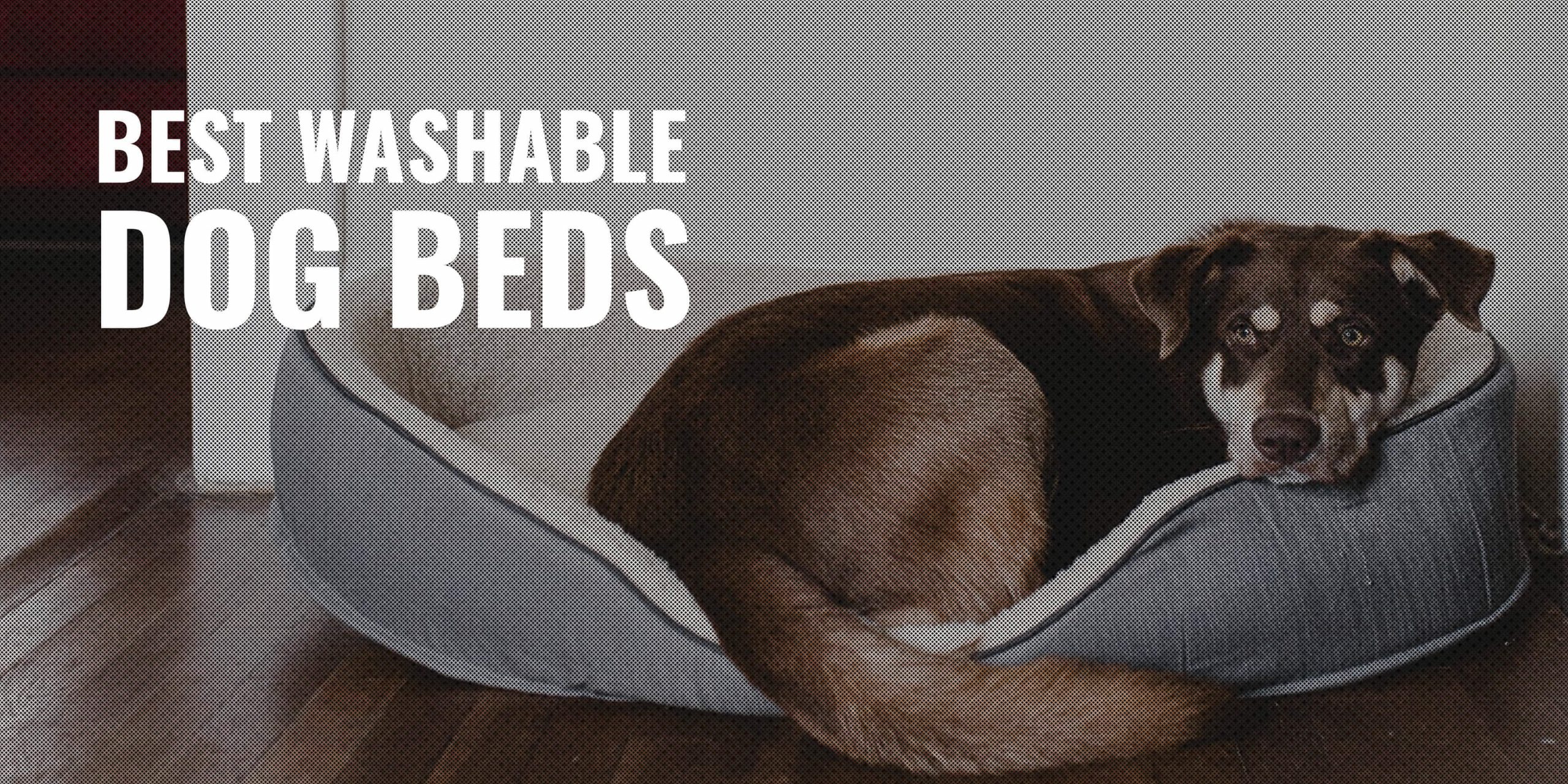 Washable and Waterproof Outdoor Dog Bed Made from Recycled Materials