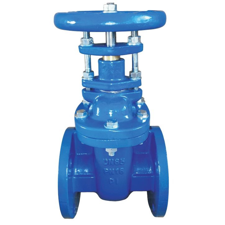 GAV-2111 BS5150 & BS5163 NRS METAL SEAT GATE VALVE