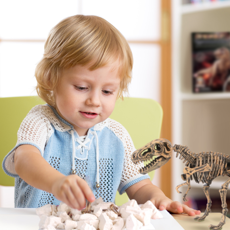 Dinosaur Toys Science Educational Kit Kids Gift , Dig It up Excavation Fossil 3D Skeletons Digging Set