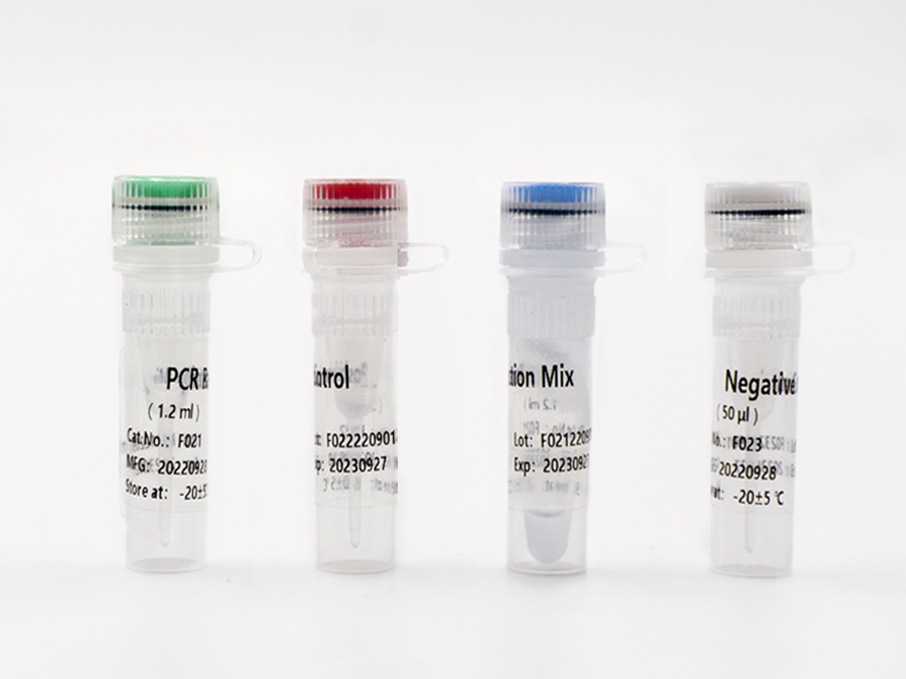  TAGMe DNA Methylation Detection Kits (qPCR) for Cervical Cancer / Endometrial Cancer