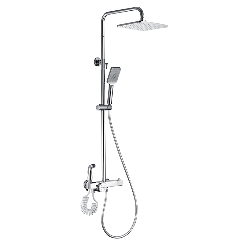 Starlink Square Top Spray Shower