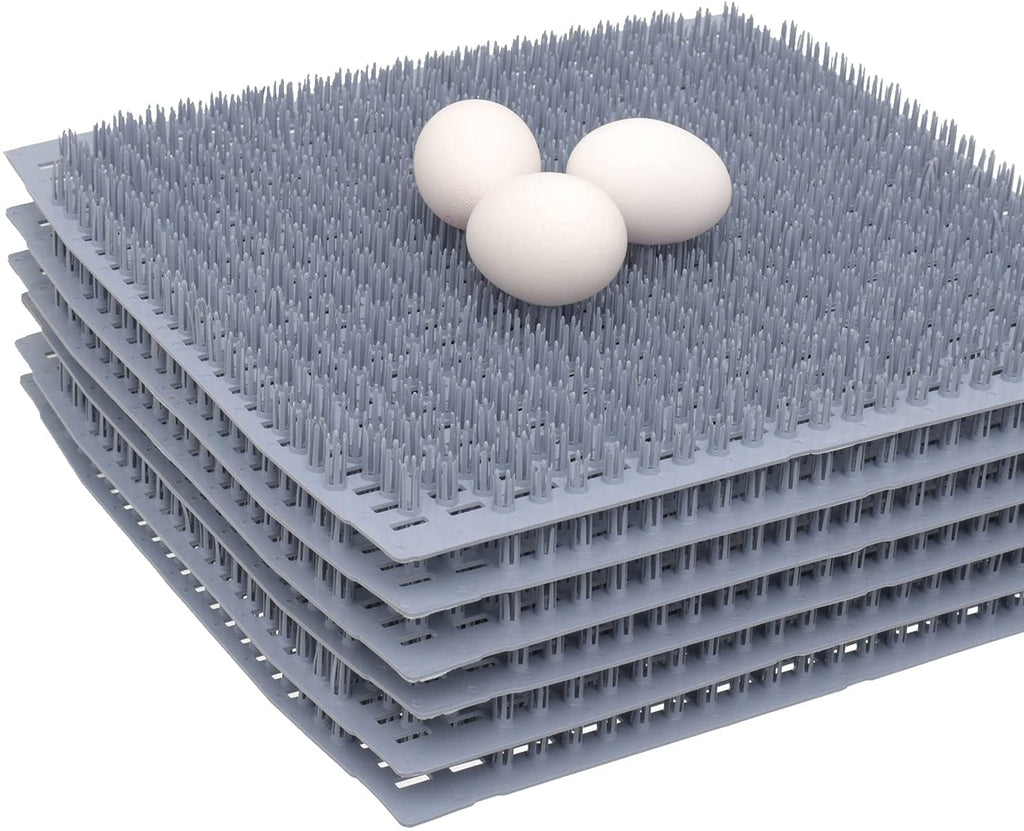chicken egg poultry farm poultry cage for india