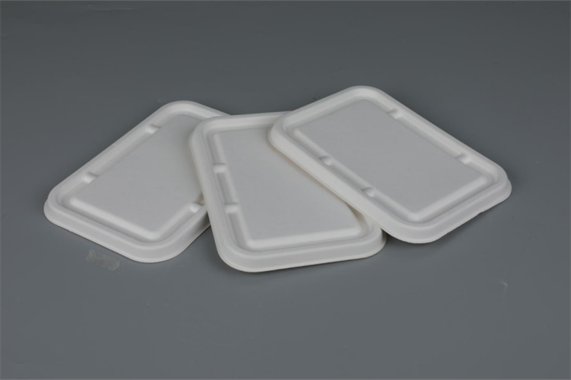 The 5 Best Disposable Plates of 2023