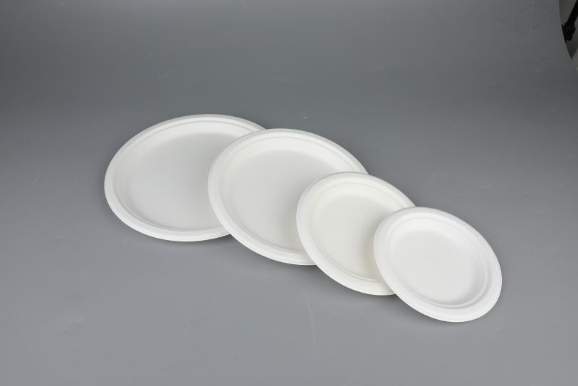 Global Eco-Friendly Disposable Tableware Market Analyzed With Trends And Opportunities By 2030 – Voith GmbH, Andritz Hydro, GE, Siemens, FLOVEL Energy – University City Review