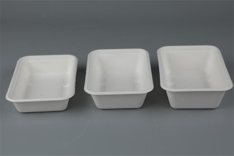 500/650/750ml Rectangular Containers Biodegradable Bagasse Tableware 