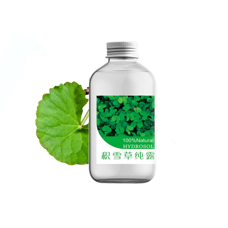 Pure Centella Hydrosol for skin body care anti wrinkles