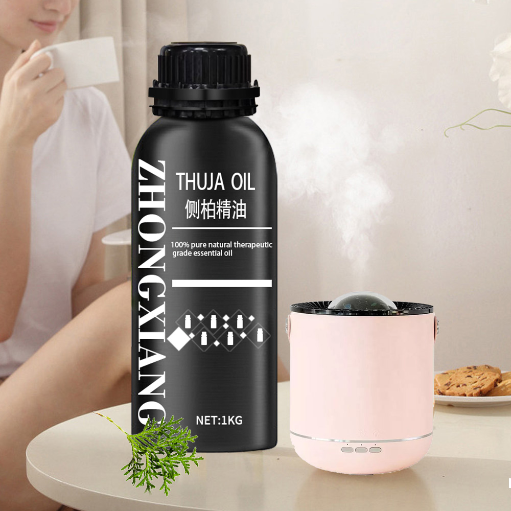 Organic pure best quality Thuja Essential Oil for body health