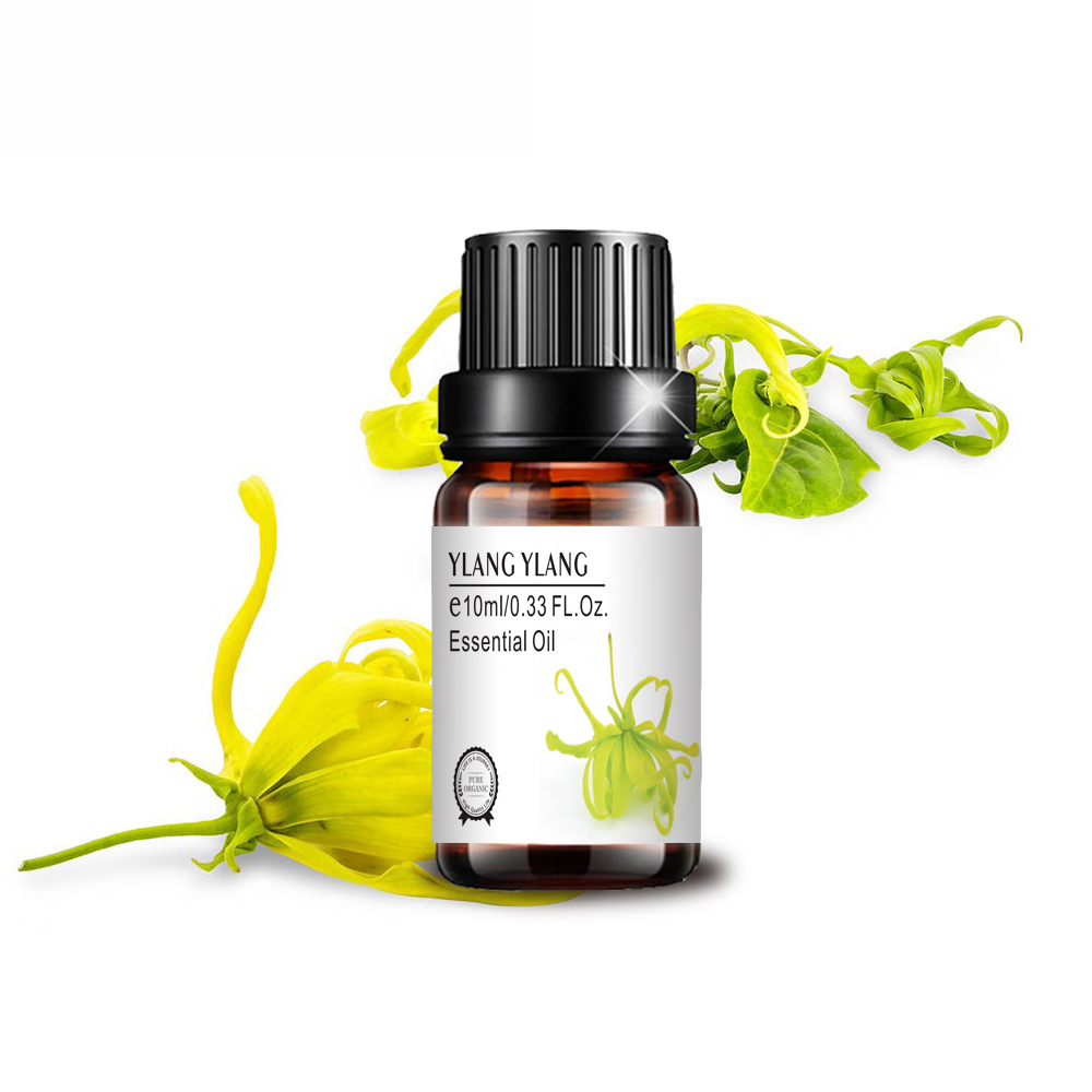 manufacturer aromatherapy fragrance pure natural ylang ylang essential oil