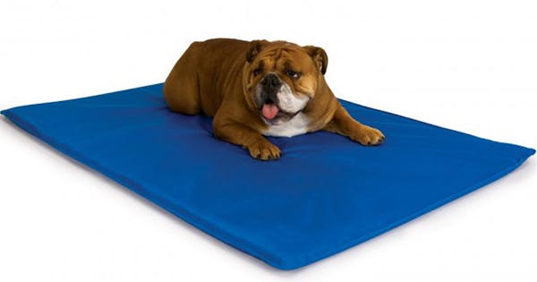 Dog Bed | Orthopedic Dog Beds, Cooling Gel Dog Bed, Dog Crate Mats : Retrievist