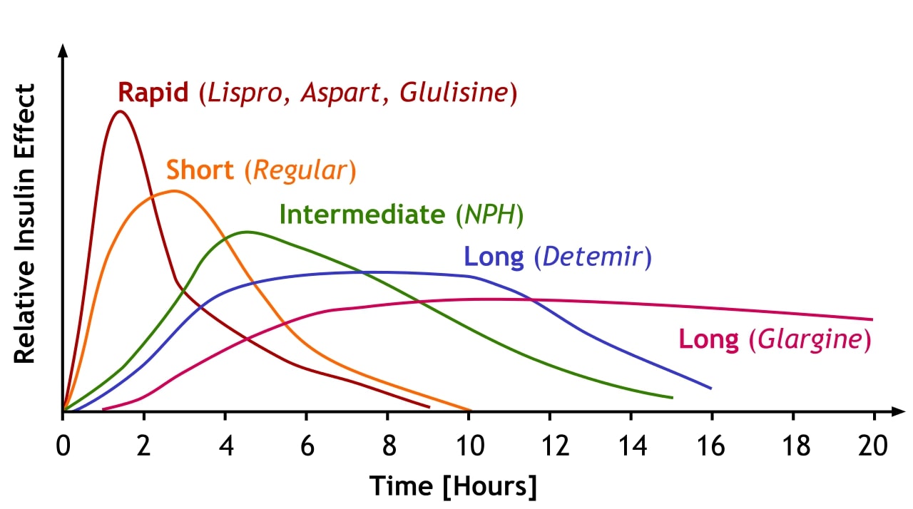 Align | L Insulin