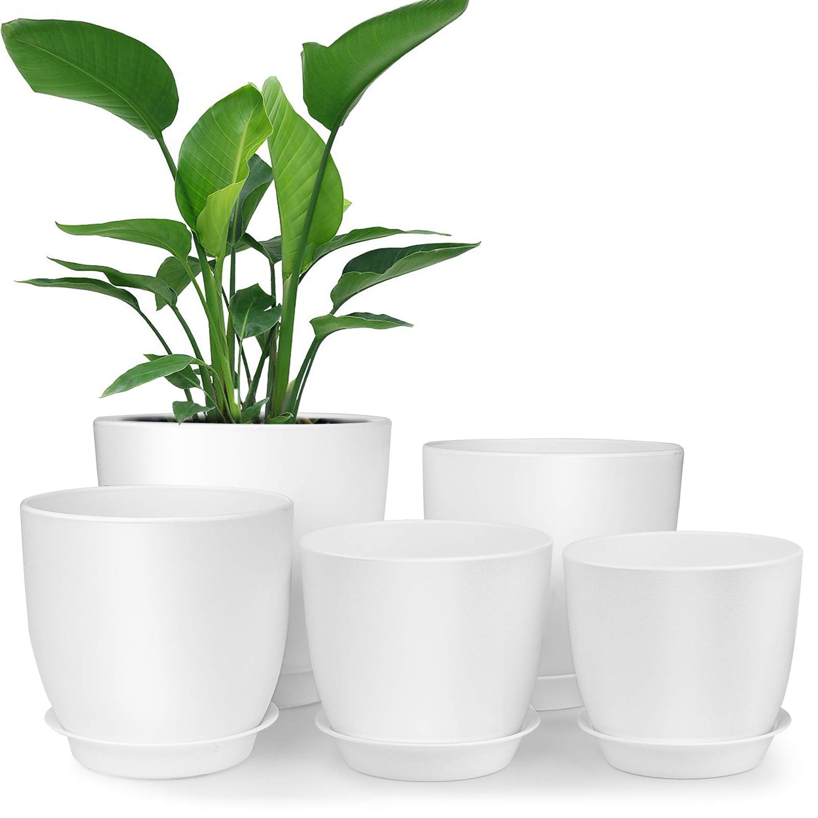 Plastic Planter Flower Pot Indoor Modern Decor with Drainage Hole and Tray