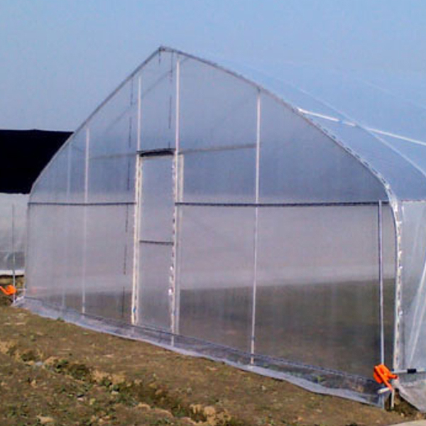 Exploring the Benefits and Advantages of a Modern Glass Greenhouse for Sustainable Agriculture+
