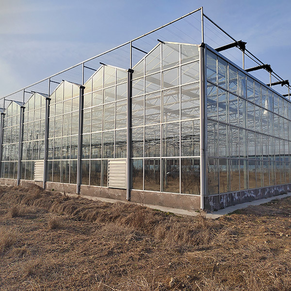 Unique Coloured Glass Greenhouse Offers Sustainable Farming Solutions