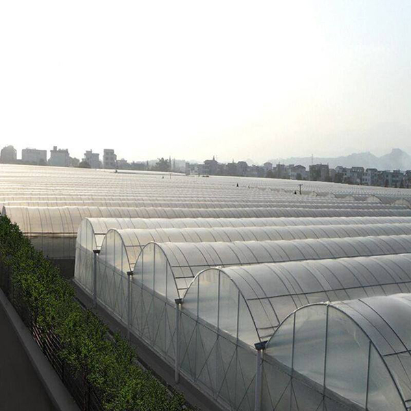 large galvanized steel frame truss agricultural greenhouse