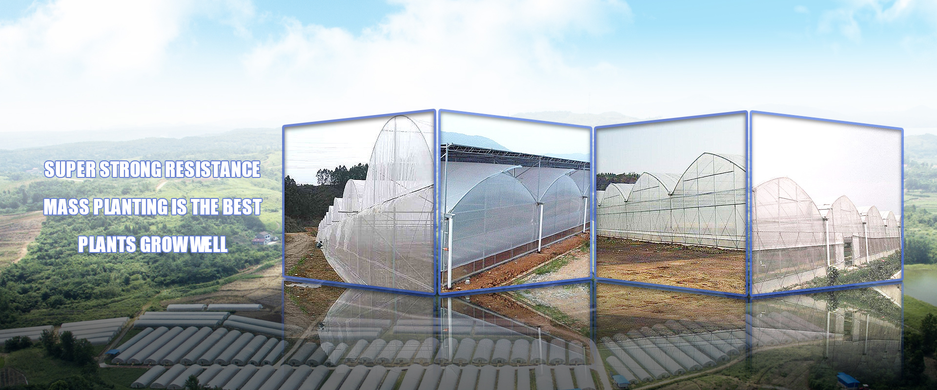 Marijuana Greenhouse, Marijuana Planting Temperature Control Lamp - Ningdi