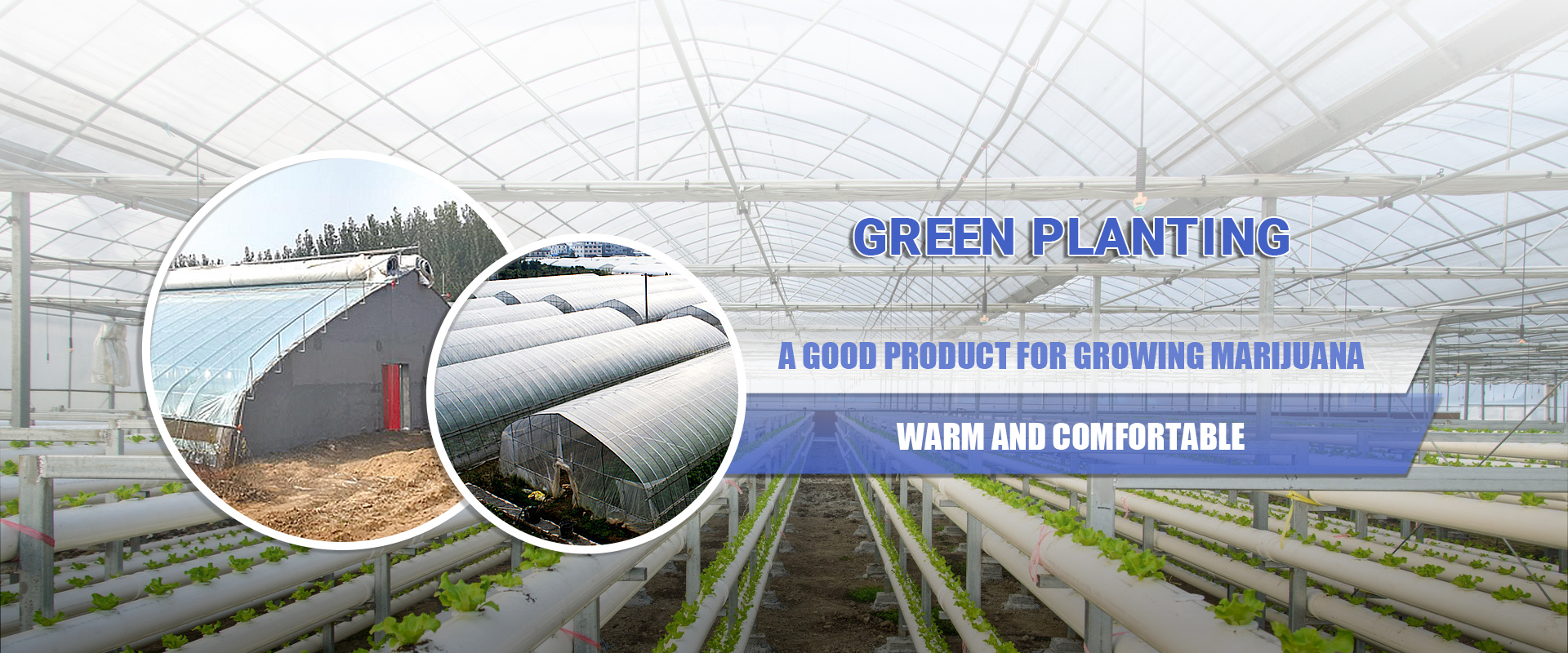 Marijuana Greenhouse, Marijuana Planting Temperature Control Lamp - Ningdi