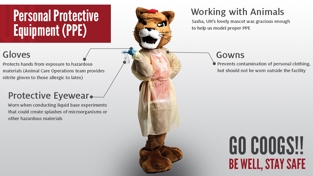 Personal protective equipment | MacIntyre Research Lab