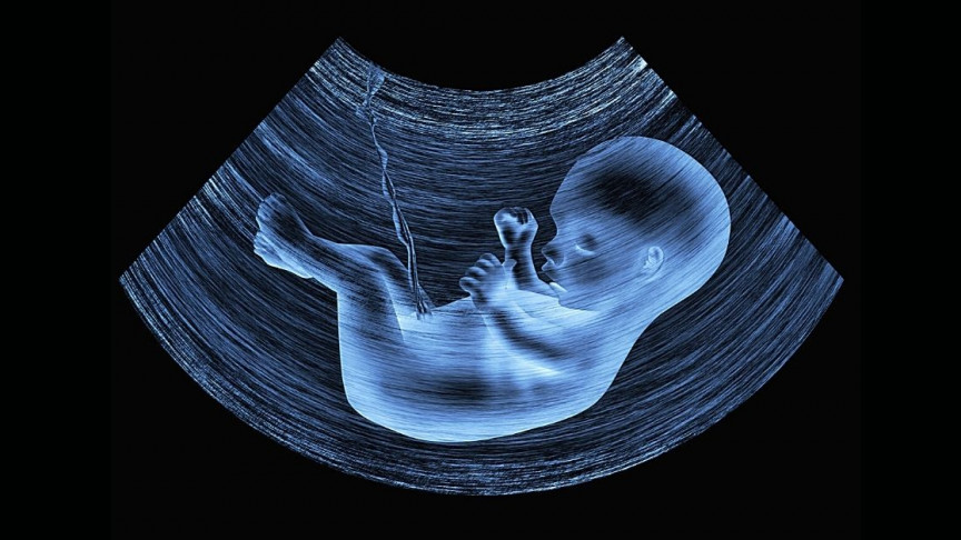 3D Ultrasound Imaging Creates 3D Color Photo Of Your Unborn Baby | Bit Rebels