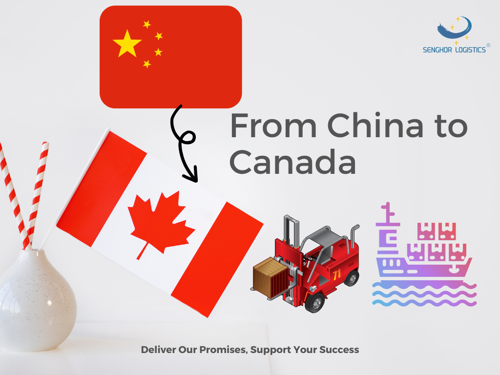 Fast and Reliable Shipping Services from China to USA