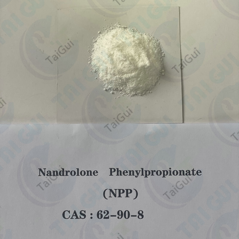 Muscle Building Nandrolone Steroid / Nandrolone Phenylpropionate NPP 62-90-8