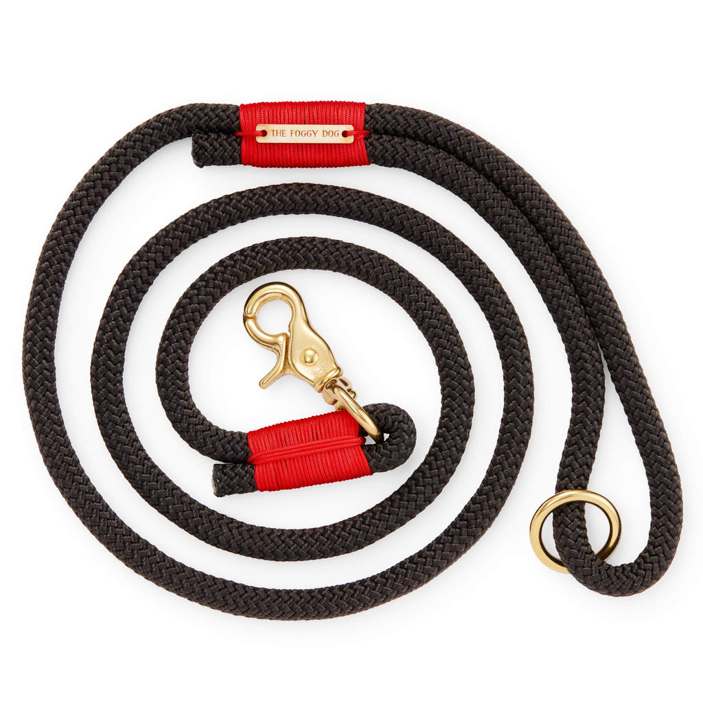 Durable Climbing Rope Dog Lead for Safe and Fun Walks | Red Accents and Solid Brass Hardware Included