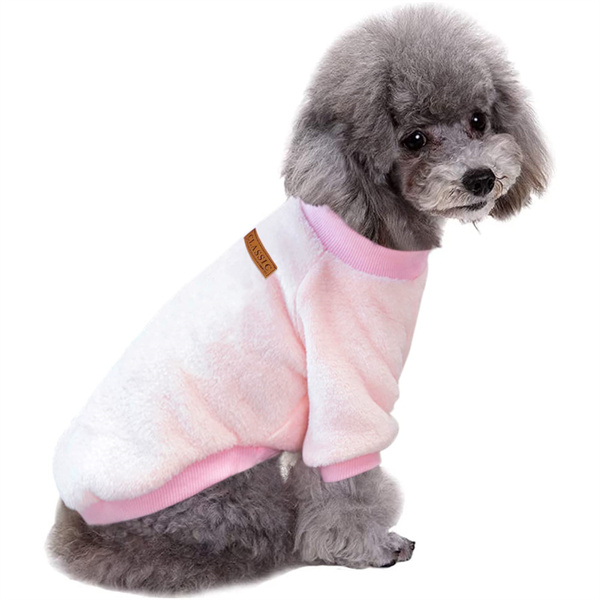 10 Best Selling Dog Training Collars for 2023 - The Jerusalem Post