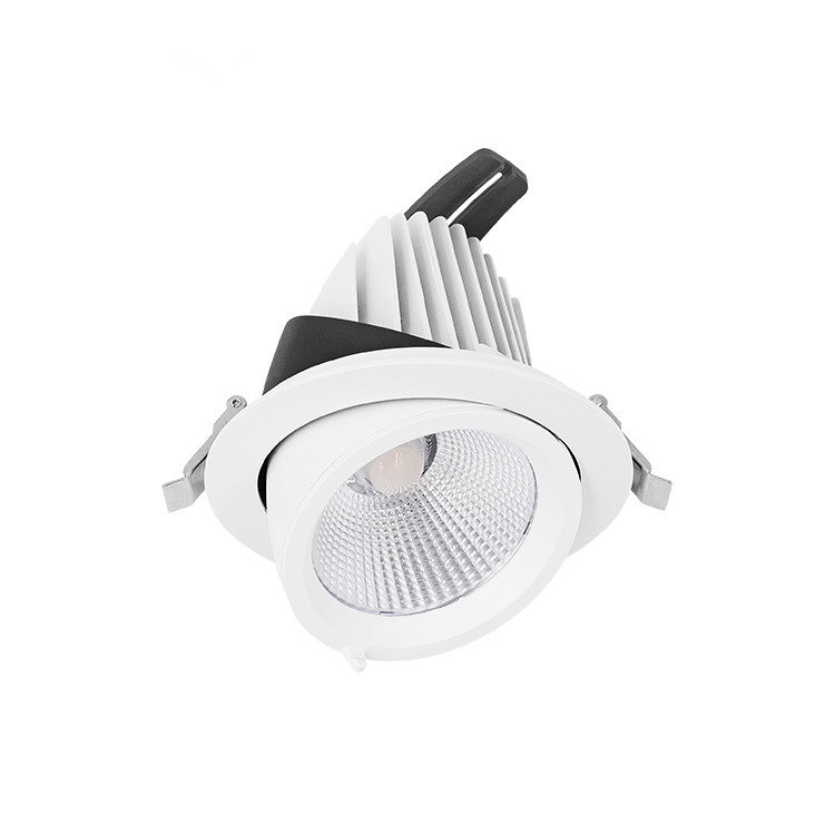 Rotatable Commercial Dali Dimmable LED COB 10/20/30/40/50W Adjustable LED Spotlight Ceiling Spotlights